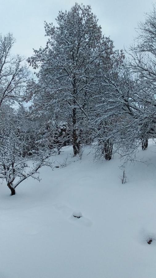 Joli Studio Sympa Saint-Jean-Saint-Nicolas Екстериор снимка
